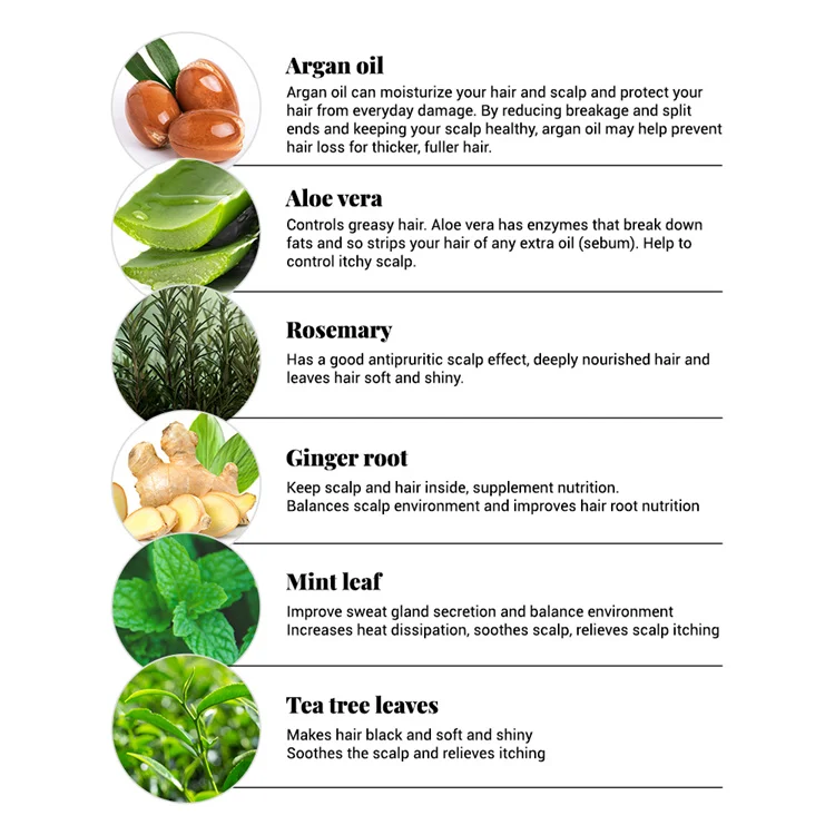 Private Label Herbal Ginger Anti Hair Loss Shampoo For Women Men