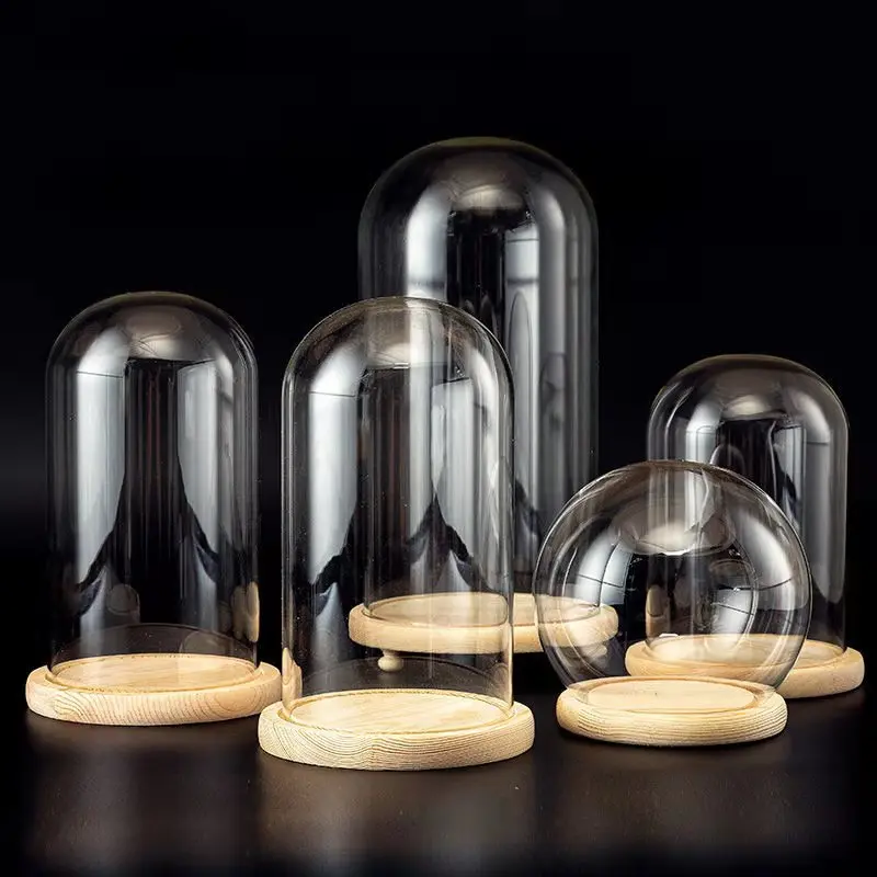 Cheap Clear Glass Dome Cloche Terrarium Bell Jar with Rope Handle Natural Wooden Base