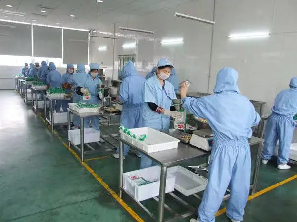 2021 hot-selling honey-flavored grilled wings 23g*bag delicious wing root healthy casual snacks