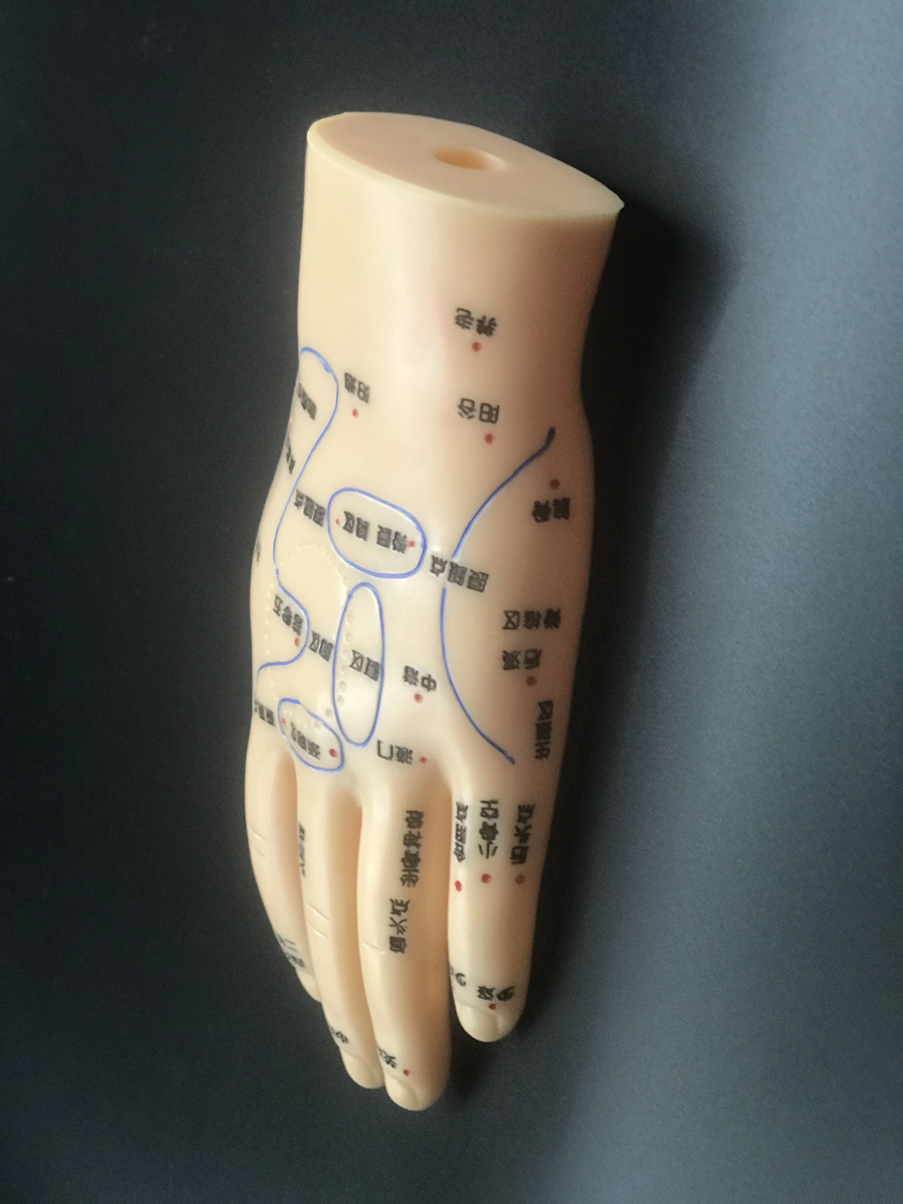 Chinese Medicine Acupuncture Massage Acupuncture  learn human Medical teaching  Hand Foot Ear Model