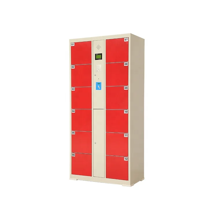 
12-door standing electronic staff lockers 