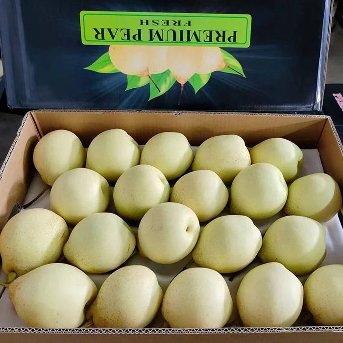 Китай свежие груши я/золотые груши