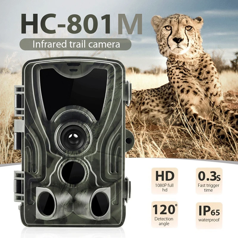 Home Security 2g cameras Hunt 2.4 Inches IP65 Waterproof gsm mms Trail Hunting Camera with CE FCC ROHS