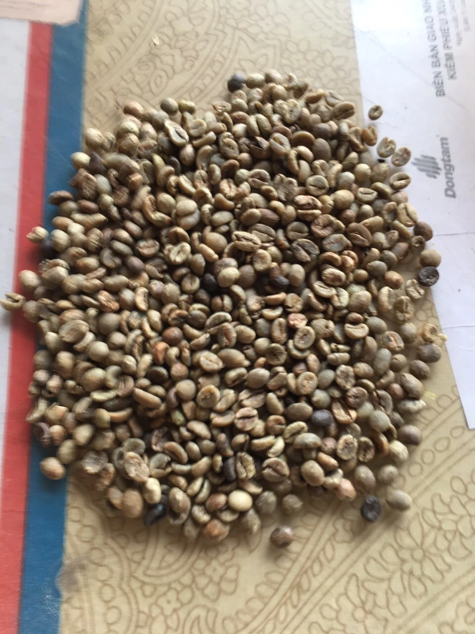 Wholesale Arabica Coffee Beans 100% pure organic coffee high grade Arabica Green Coffee Beans from Vietnam