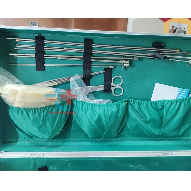 HC-R085 Veterinary Portable AI Kits Cattle Cow Sheep Big Animal Goat Pig Artificial Insemination gun Equipment Box for cattle
