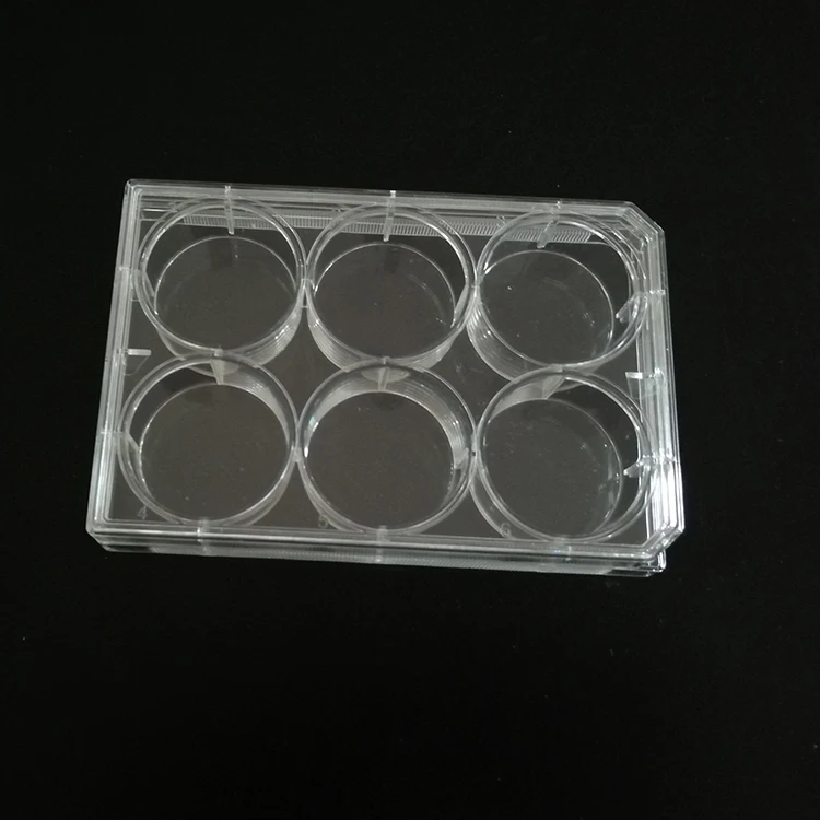 Disposable Lab Product  6 wells Cell Culture Plate