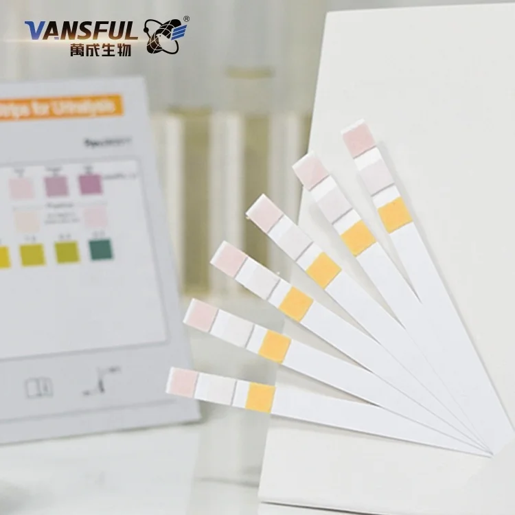 Women Home Rapid diagnose the urinary tract infections Leukocytes Nitrite pH test strips