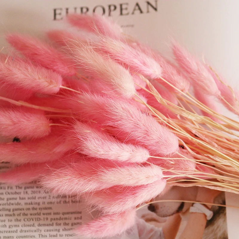 Yunnan Culinan factory wholesale dried flowers natural lagurus ovatus bunny rabbit tail grass