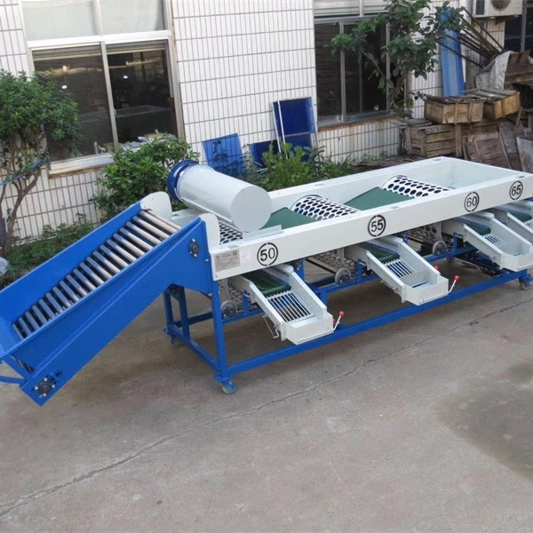 Industrial Fresh Fruits Processing Machinery  auto industrial cherries sizing sorter grader