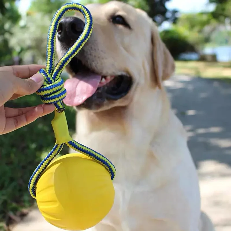Wholesale 7/9 Cm Pet Dog Training Toy Ball Indestructible Rubber Ball Chew Play Bite Toy With Carrier Rope Bite