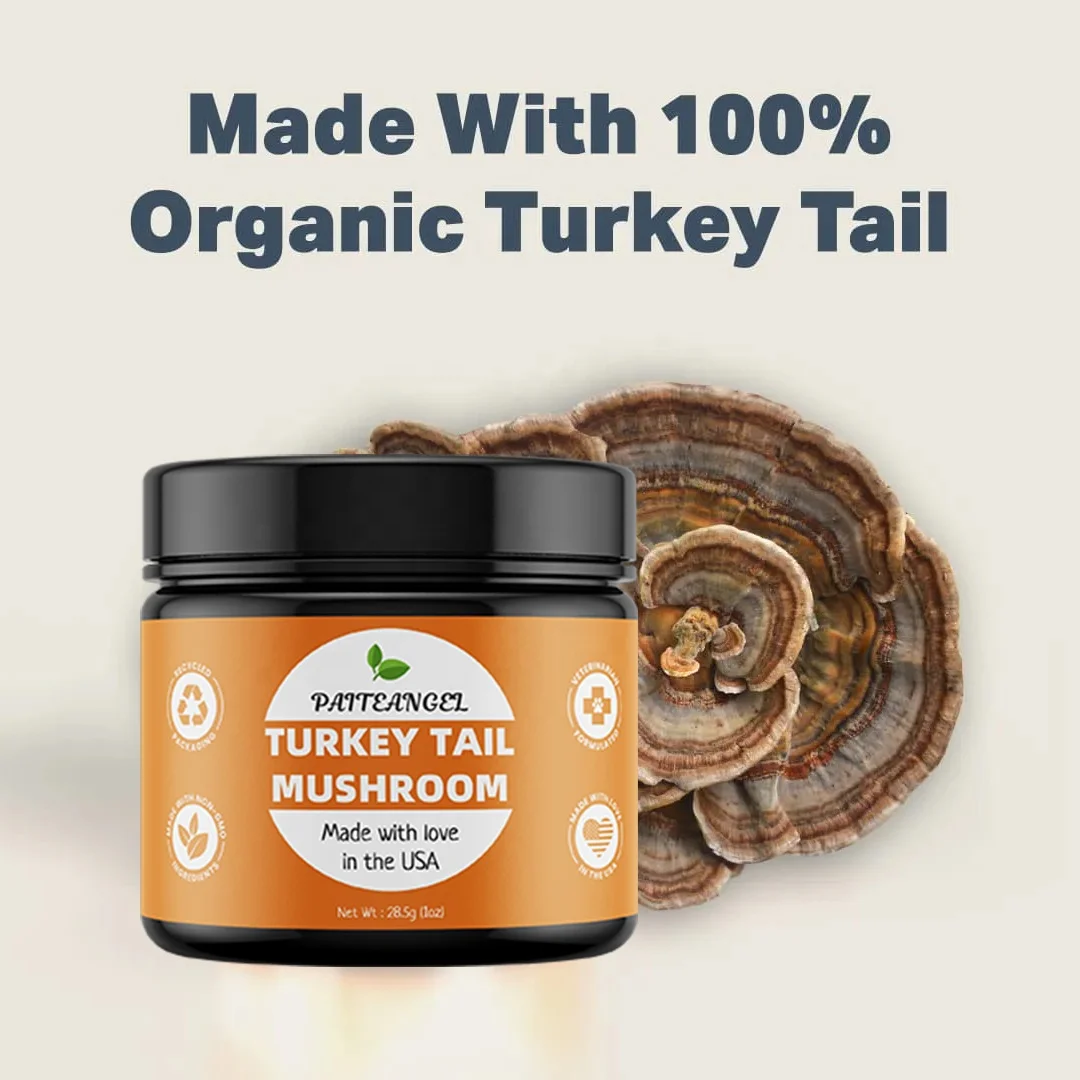 Vet Formulated Rich in Beta-Glucans Turkey Tail Mushroom Extract  Dogs Critical Immune Support Prebiotic Powder