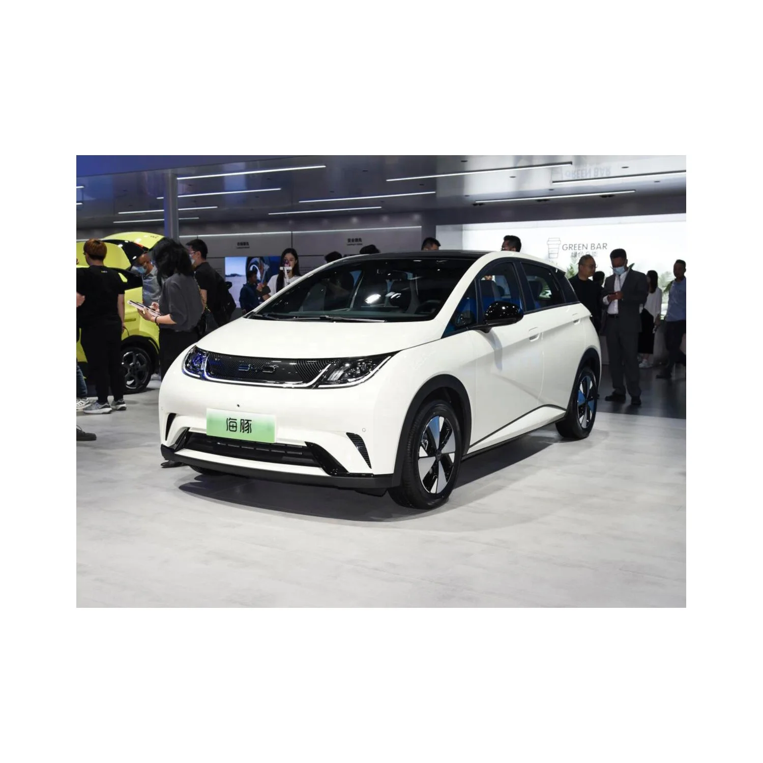 changli  new energy  adult electric car for BYD Dolphin 5 Doors 5 Seats