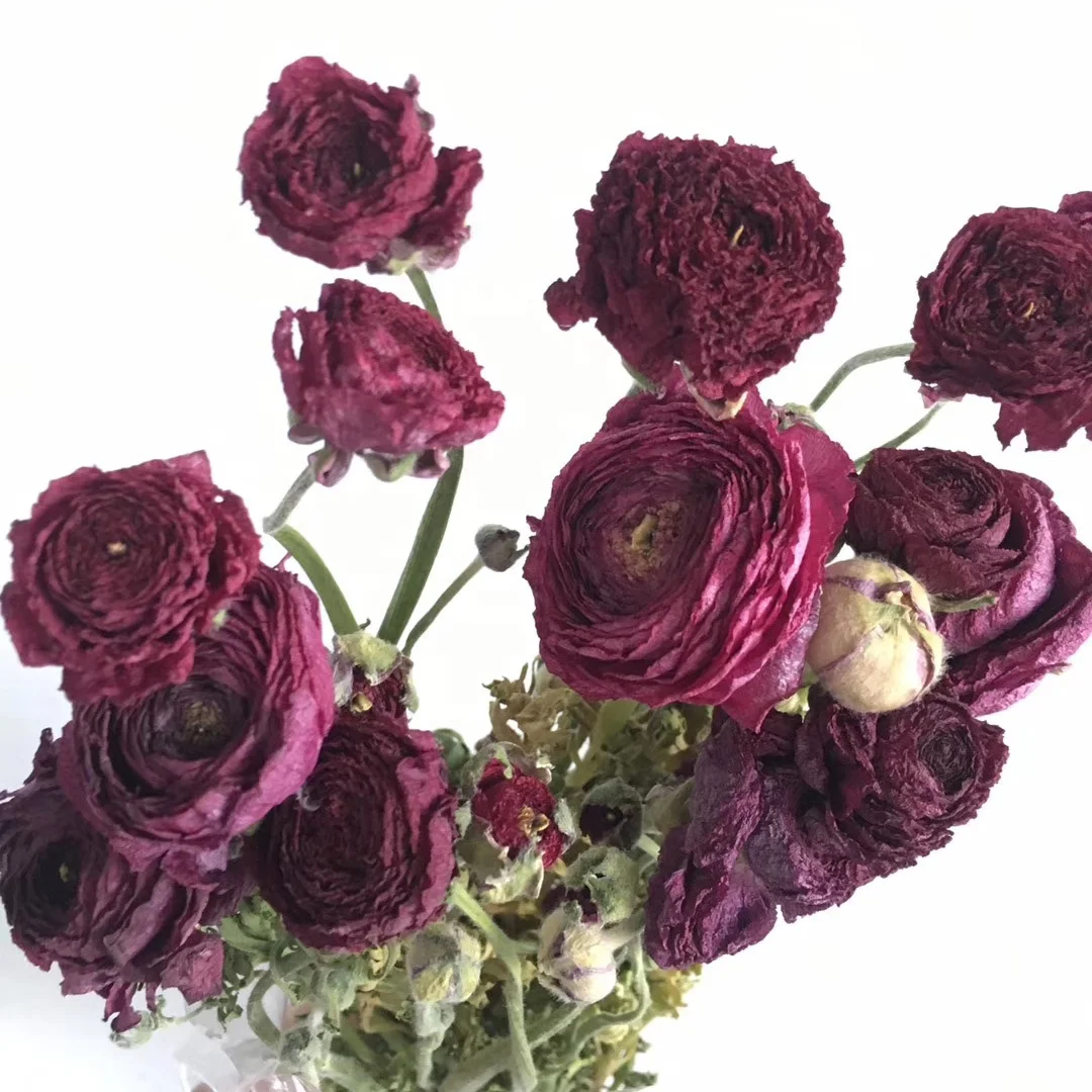 2020 new product dry peony flower from Kunming China