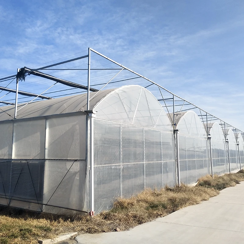 Best Selling Economical Multi-Span Greenhouse with greenhouse heating systems for winter
