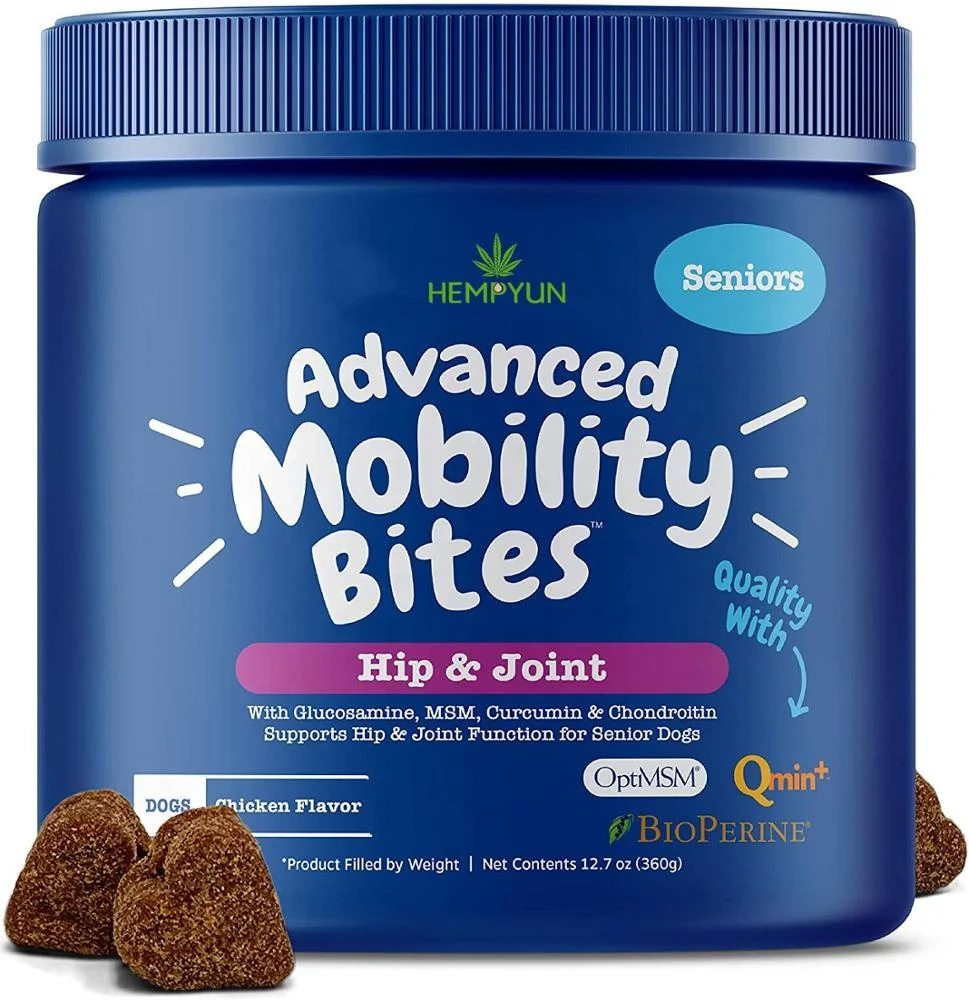 Mobility Chews for hip and joint top sales dog food with glucosamine msm turmeric  in stocks