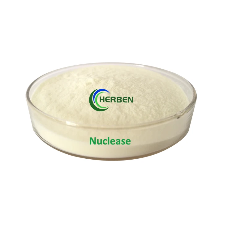 Bulk Health Supplement Nuclease powder price 12000 u/g Nuclease enzyme powder