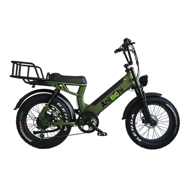 ANLOCHI high quality popular product 20 inch fat tire two wheel cargo electric bike ebike e-cargo family e bicycle
