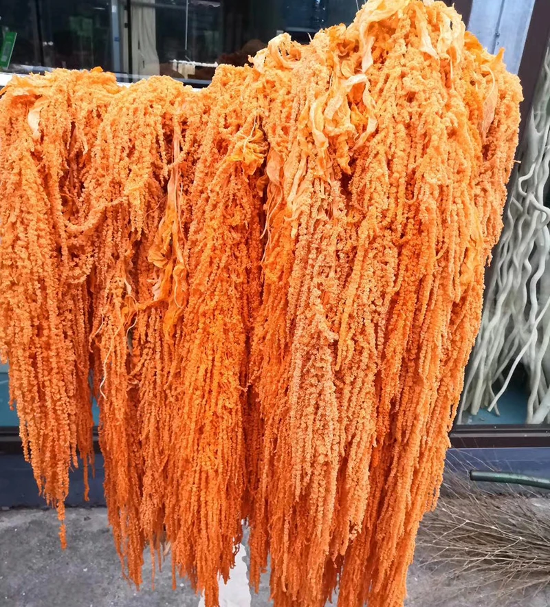 Yunnan natural wholesale natural dried preserved amaranth for home decoration & wedding