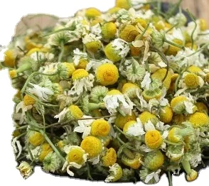 Dried Chamomile Flower  EU Standard Quality Chamomile Flower Tea