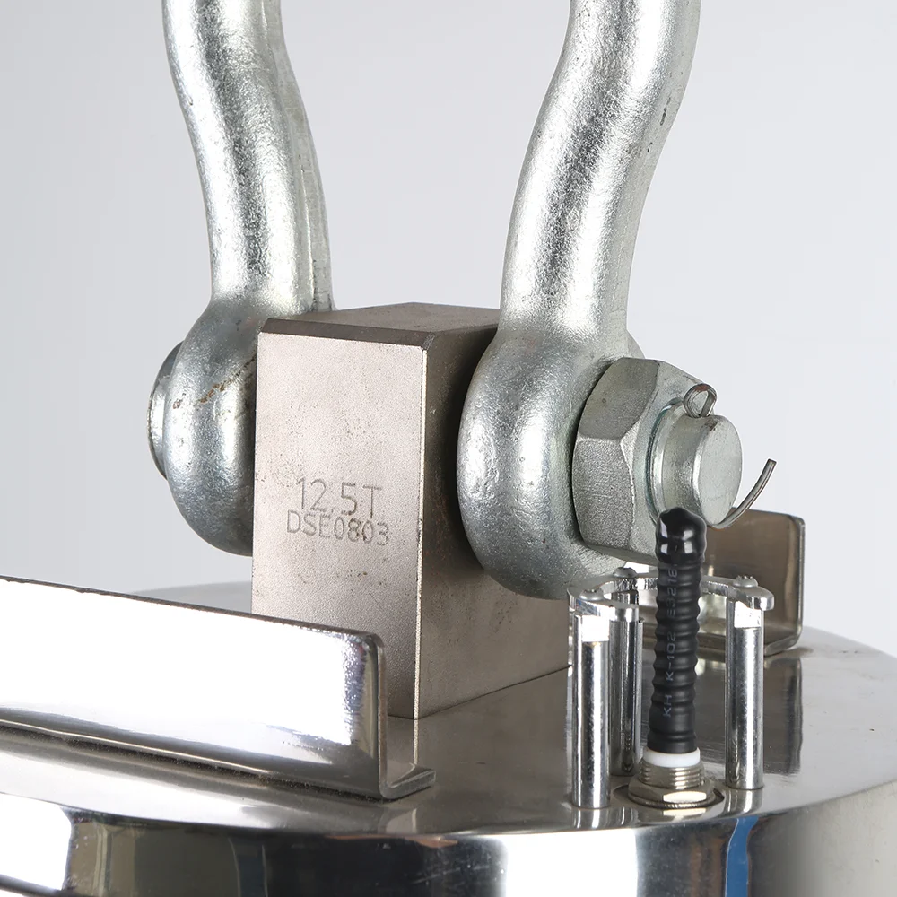 High Accuracy Digital Crane Scale Remote Display 2ton 5ton Hanging Weight Scale with Indicator