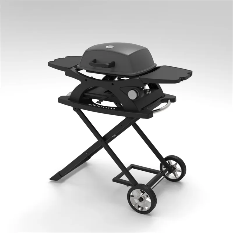 Gas Griddle Grill Stainless Steel Burner Porcelain-Enameled Cast-Iron Cooking Grates Tabletop Gas Grill