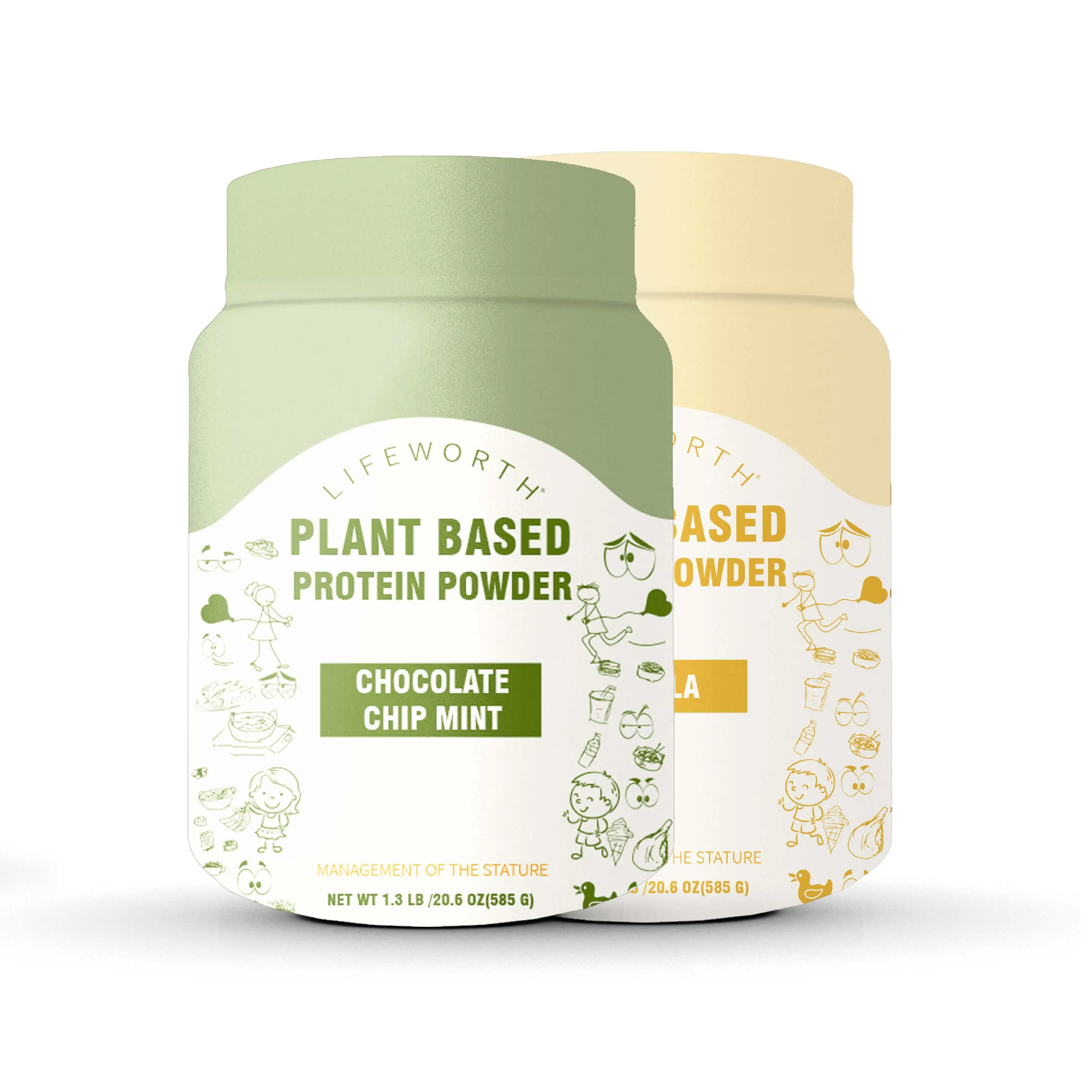 Lifeworth chocolate chip mint flavor organic quinoa chia seeds  plant based  protein powder