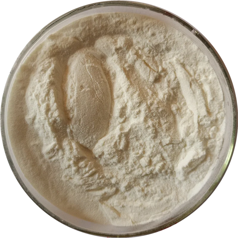 Hot selling high-quality coconut extract coconut powder