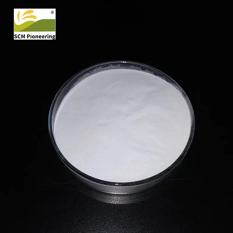 High quality Hydroxypropyl beta cyclodextrin / BCD CAS 7585-39-9 with competitive price