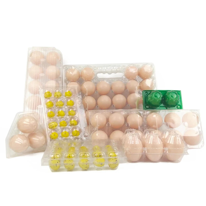 Egg Carton Tray Packaging Hot Sale Plastic for 28 Holes with Handle Blister Box