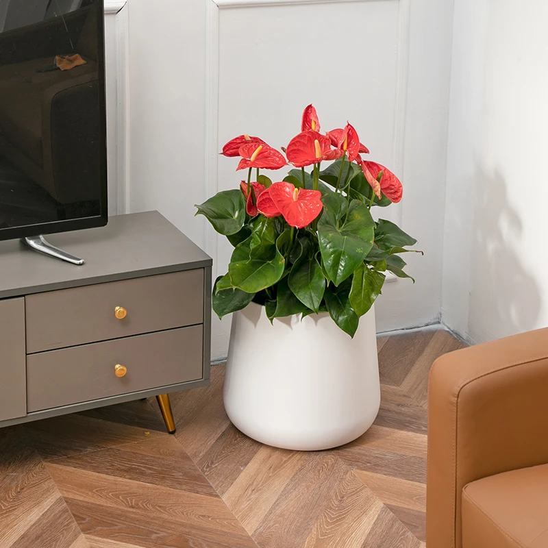 Self Watering Modern Luxury High Quality Tall Plastic Bonsai Planter Unique Indoor Use Flower Pots