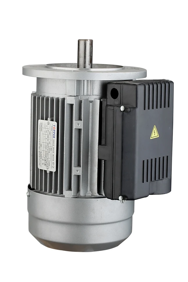 YL series dual capacitor single phase induction motor