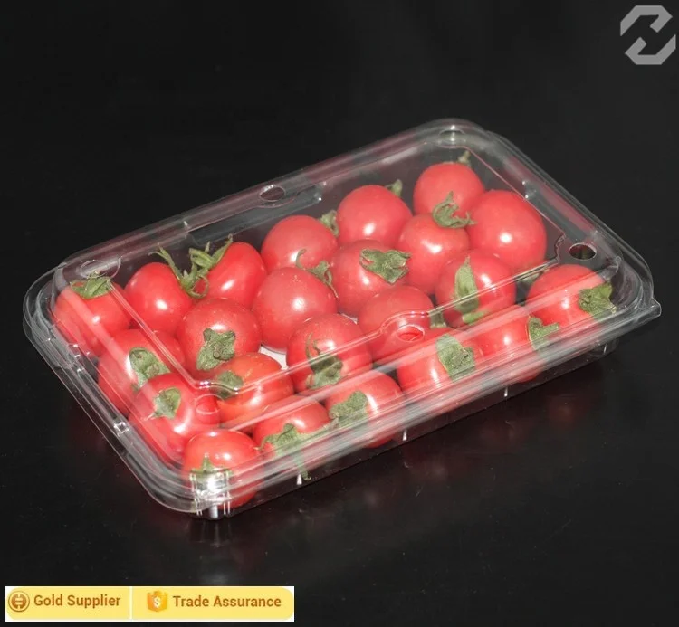 China supplier disposable plastic fruit container