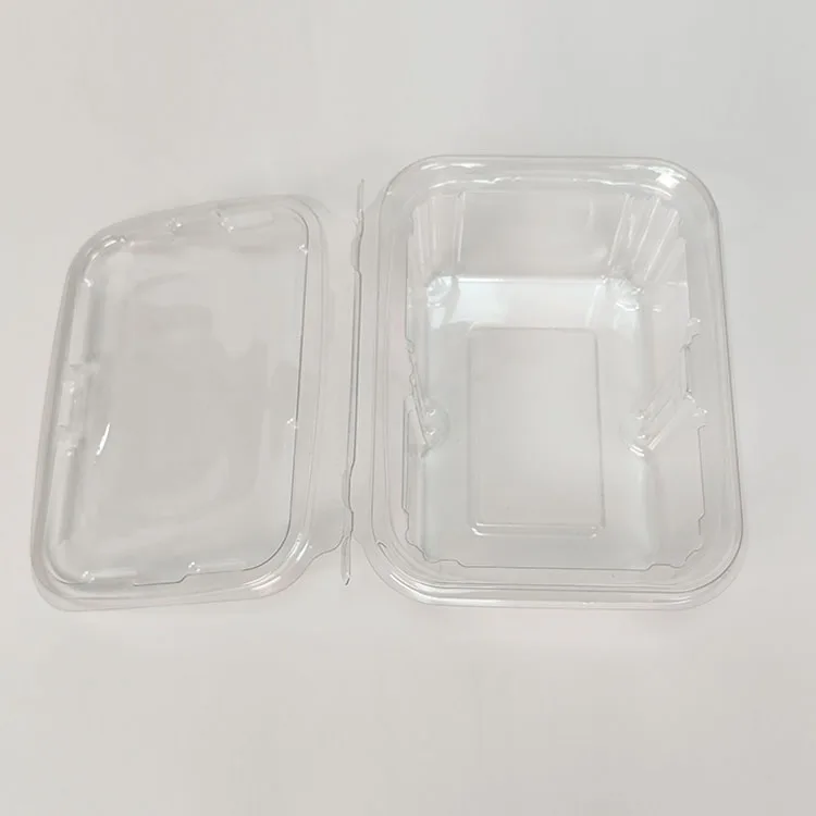 Food-Grade PET Plastic Disposable Rectangular Blister Packaging Box Clear Fruit Vegetable Salad Food Container