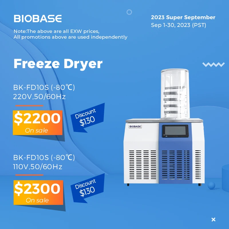 BIOBASE m Mini Freeze Dryer Laboratory Freeze Dryer Machine Chemical Equipment with factory price
