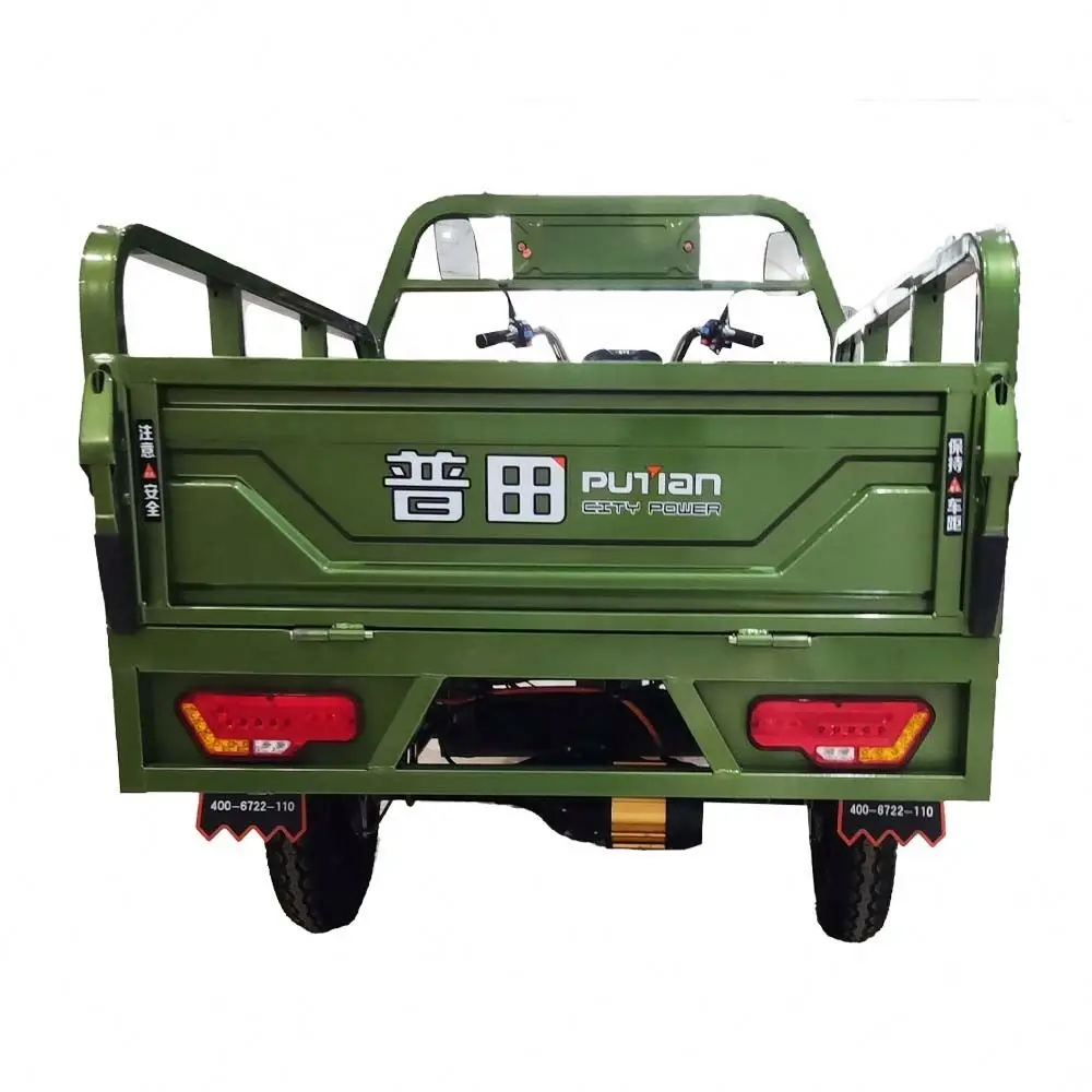 Reliable China 400KG 4 Wheel Fully Enclosed Auto Electric Mini Car for the Public