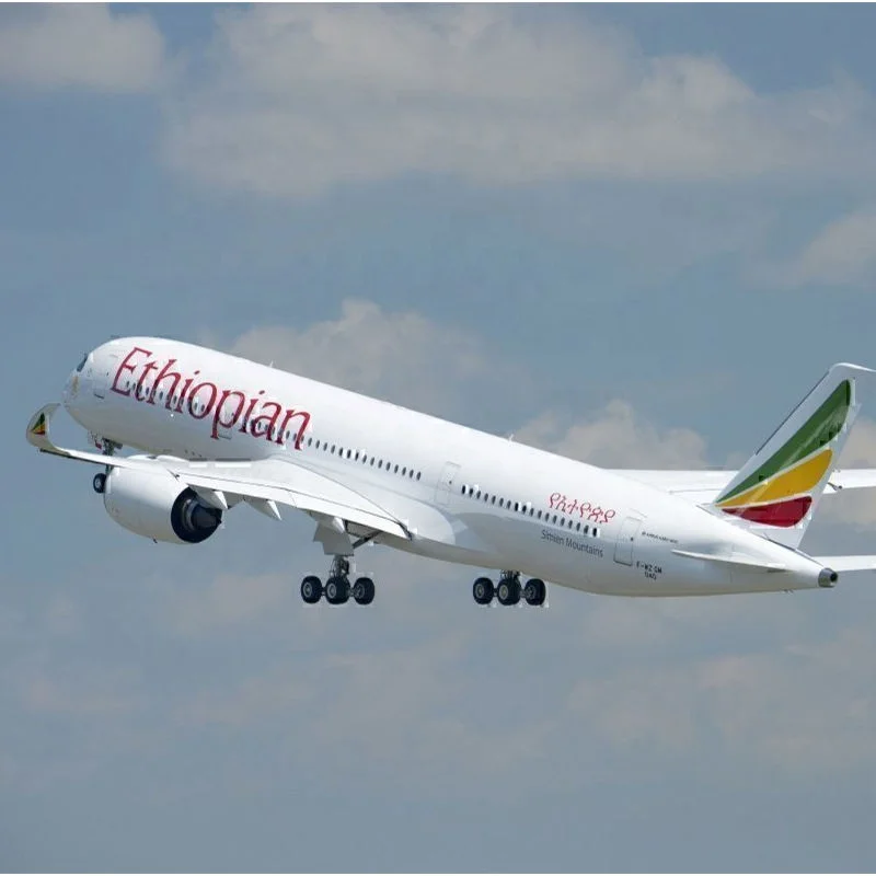 +12 years China Shipping Company Sea Shipping Agent to Benin/Bermuda/Bhutan/Bolivia From Beijing Shenzhen Guangzhou