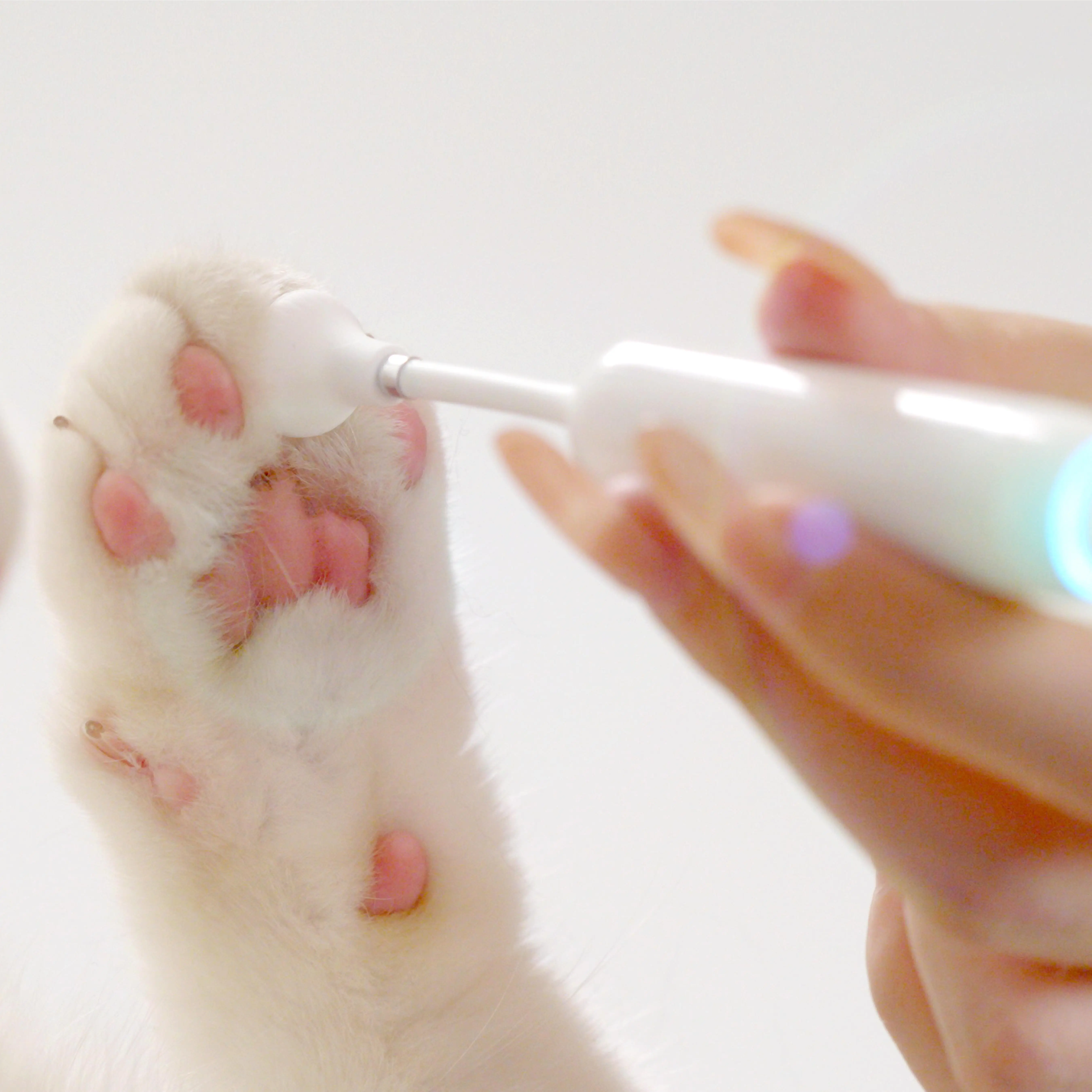 Вентилятор HAPPY Pet sistant HD эндоскоп камера гибкий отоскоп UVC дезинфекция ушных клещей