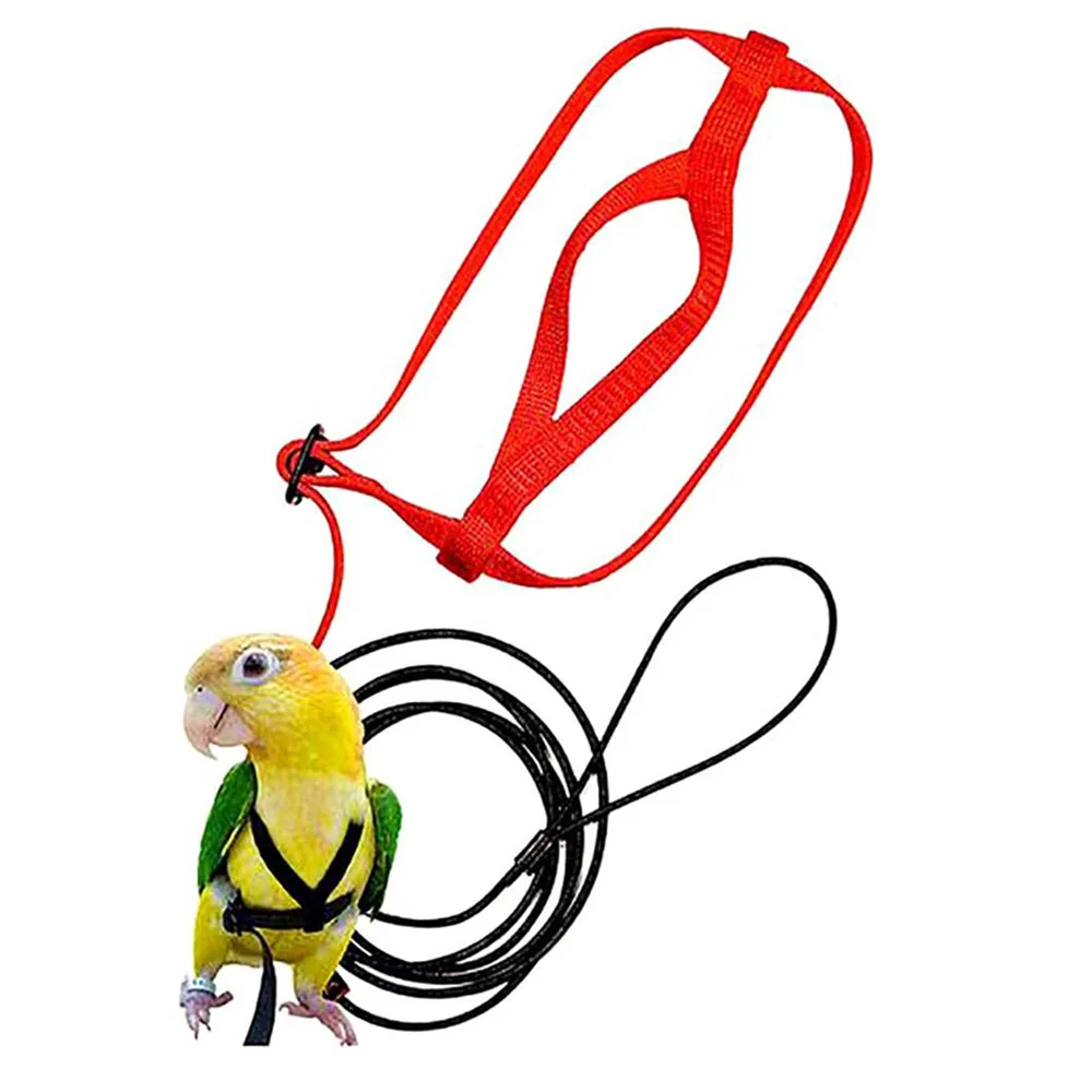 Domestic birds parrots go out for a walk and the release rope is flexible and adjustable in size for a variety of birds