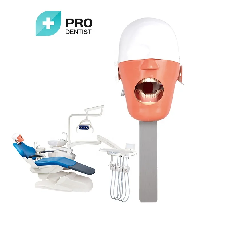 manikin phantom head for training practice for school oral dental phantom head dental simulator