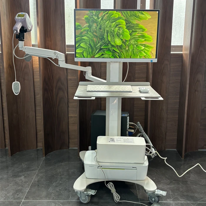 CE Cleared Digital Electronic Colposcope HD Kernel Colposcope Video Cervical Gynecological Camera Video Colposcope KN-2200IH