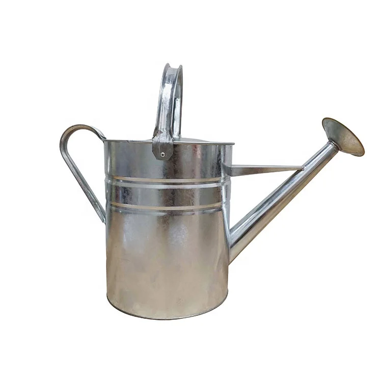 Vintage Farmhouse Galvanized Iron Watering Can with Handles and Removable Spout