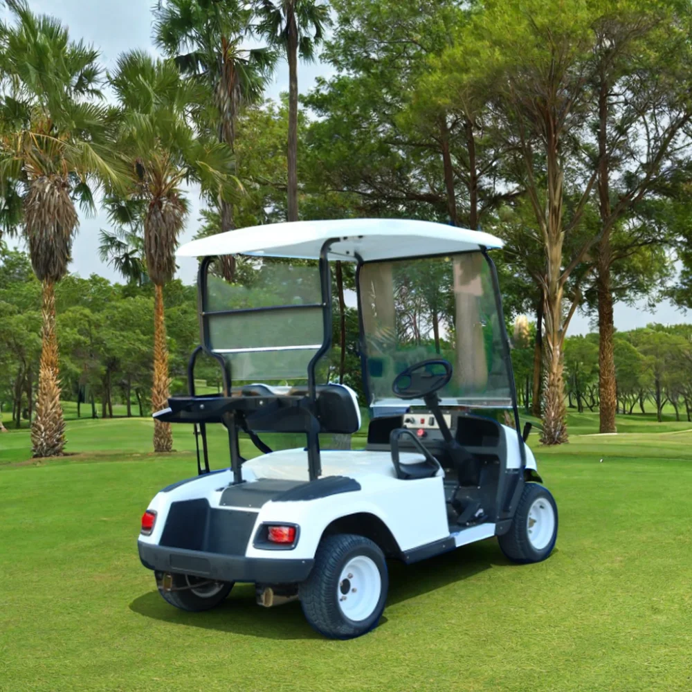 TongCai Cheap and cost-effective new model 4 seaters 10 inch wheels lithium  electrical motor golf carts  for sale
