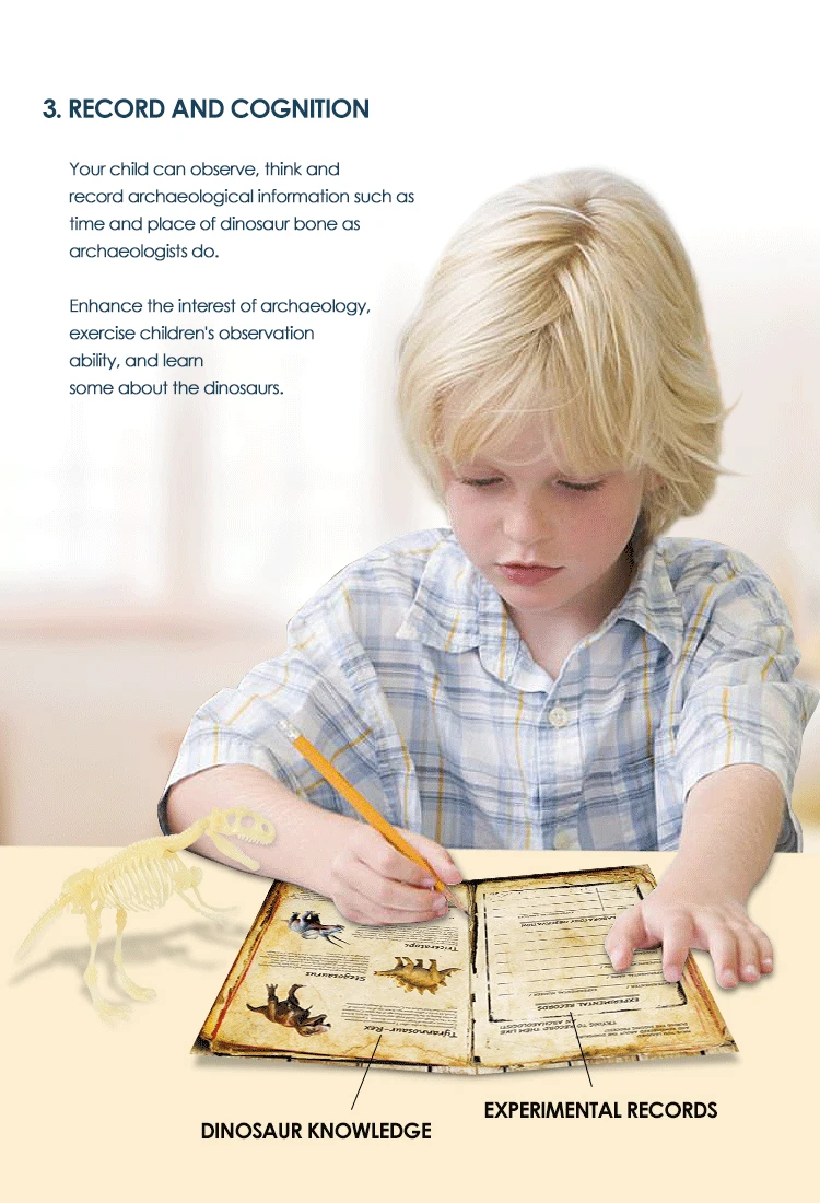 dinosaur party educational diy  dinosaur skeleton and fossil T-rex toys