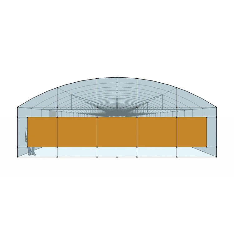 MYXL Low Cost High Economy Efficiency Greenhouses Single-span Greenhouse China Manufacturer