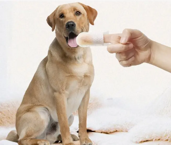 Dog Teeth Cleaning Finger , 50Pcs Dog Dental Care Wip for Cat and Dog