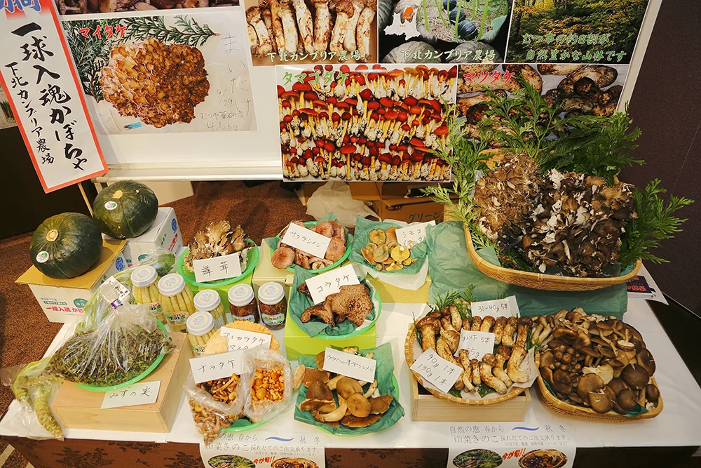 High Quality Frozen Matsutake Mushroom At A Much More Reasonable Price