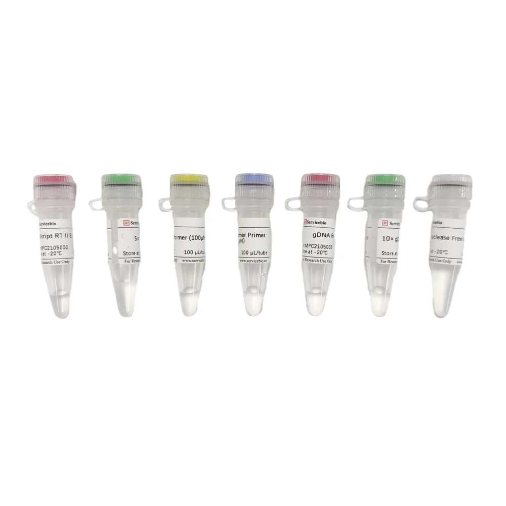 SweScript RT II First Strand cDNA Synthesis Kit with gDNA Remover