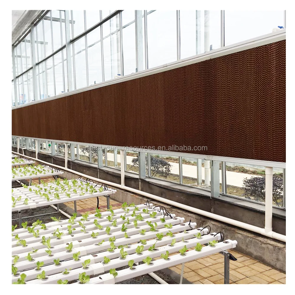 Low Cost and High Quality Chinese Agricultural Greenhouse/Henhouse Wet/Cooling Pad