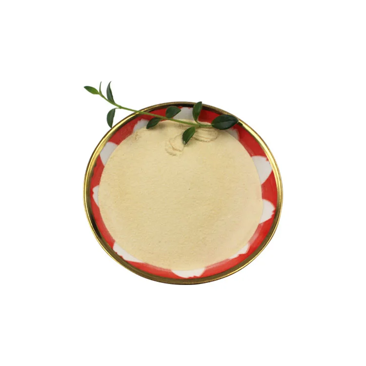 China Manufacturer Wholesale Lactobacillus Salivarius Probiotic Powder