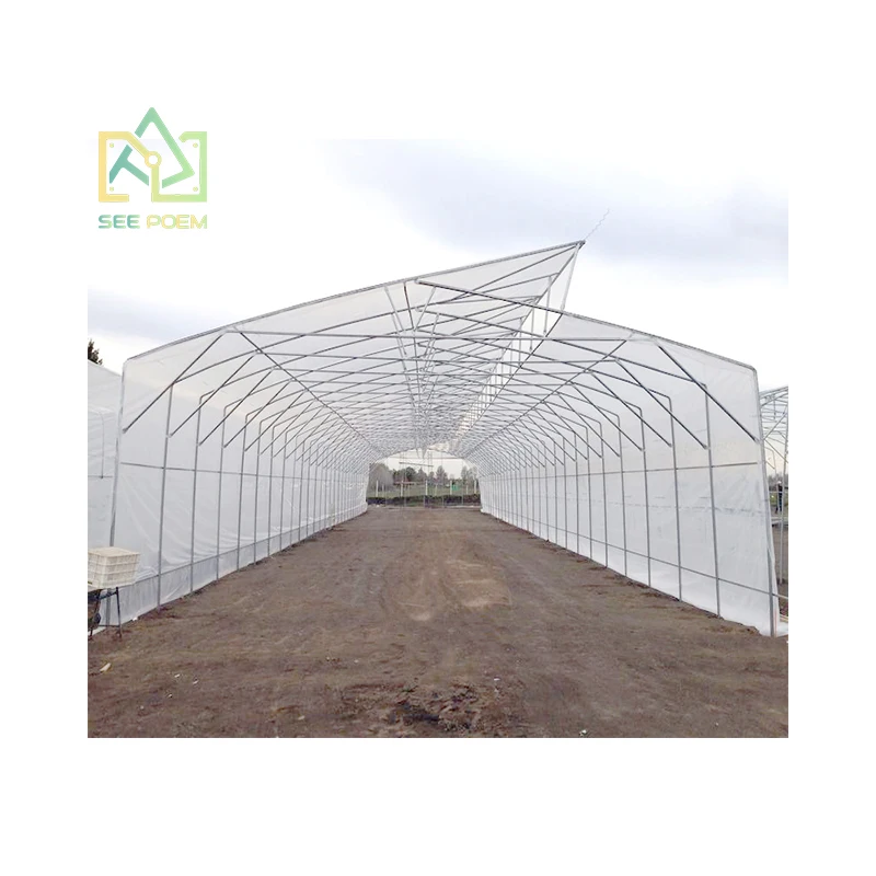 customized Hot Selling Single Span Solar Pe Film Covering Greenhouse Israel For Agriculture Low Cost Tunnel